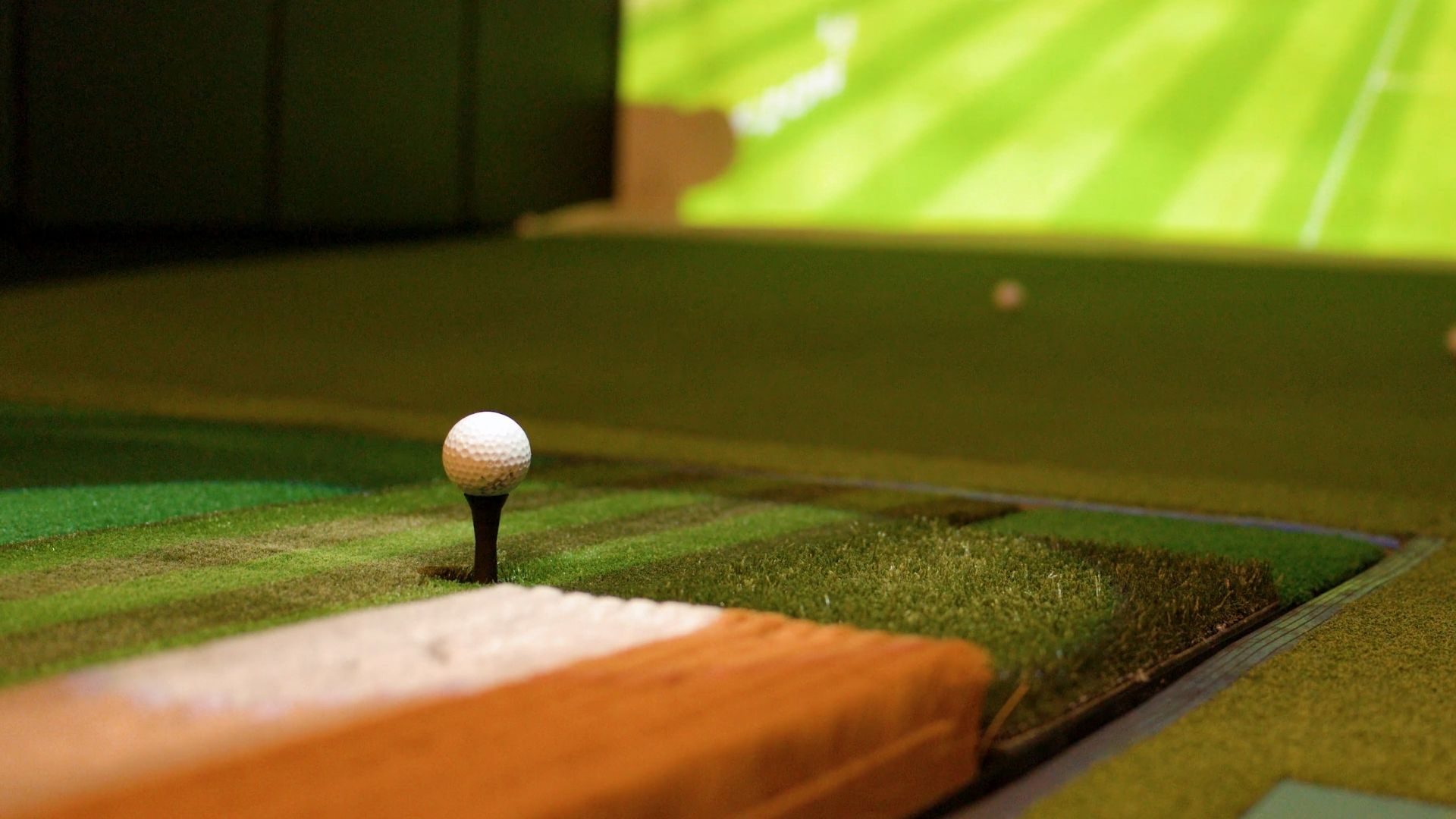 Indoor Team Golf in Freiburg im Breisgau, Foto 1